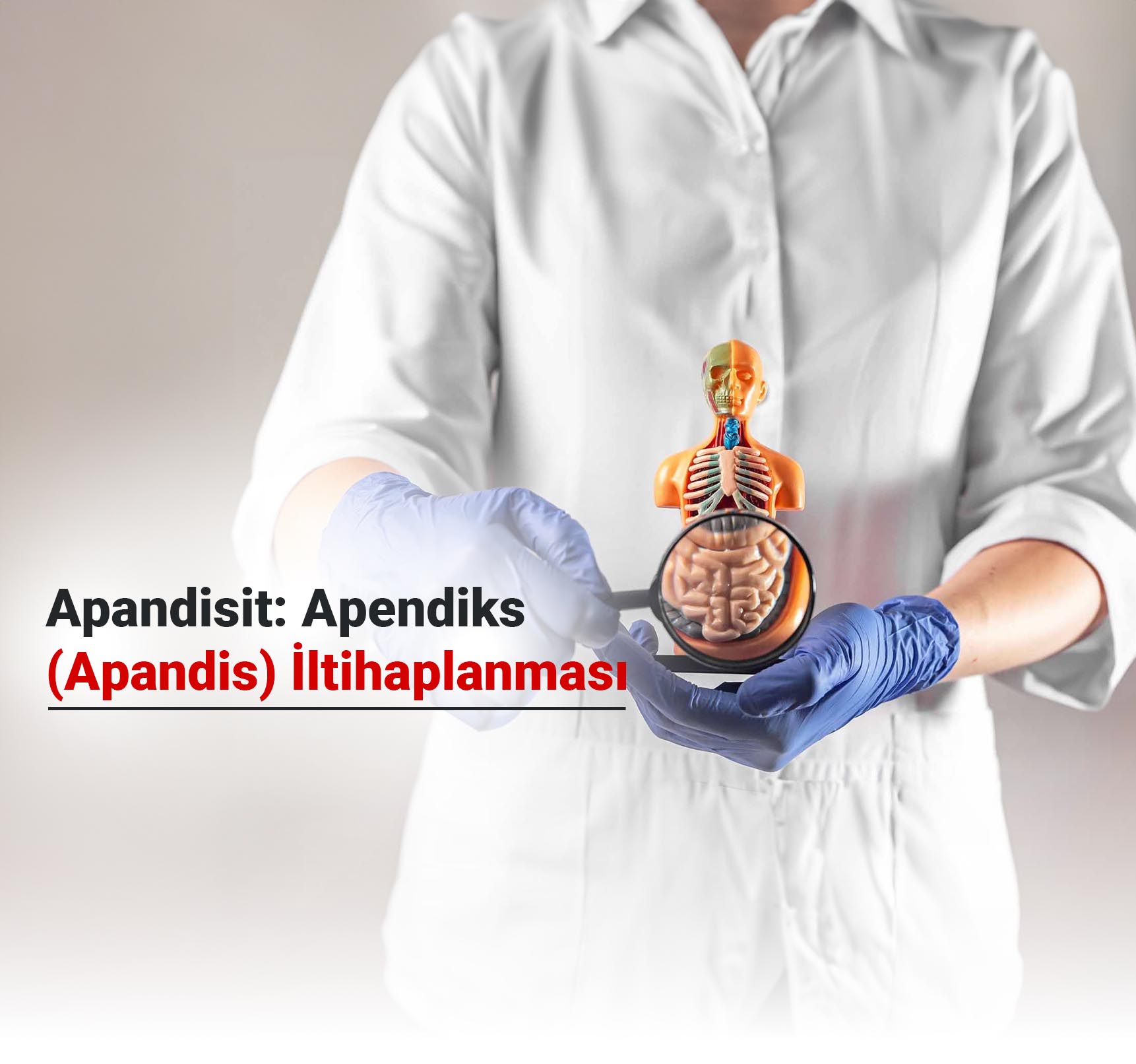 Apandisit: Apendiks (Apandis) İltihaplanması Nedir