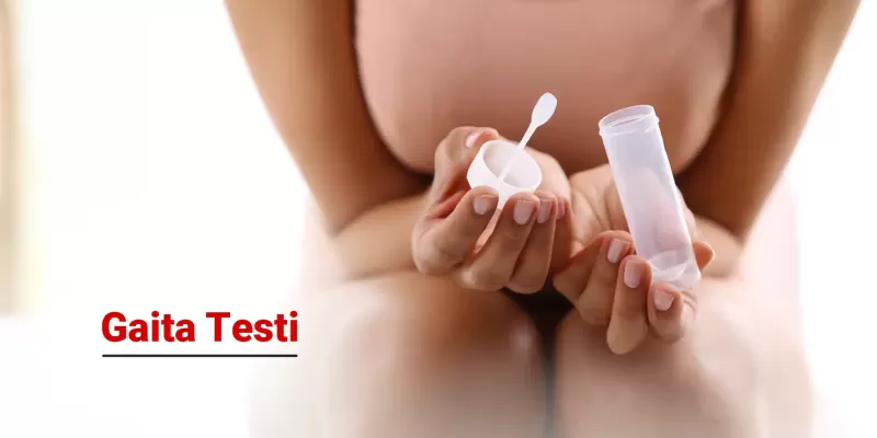 Gaita Nedir? Gaita Testleri Neden Yapılır?