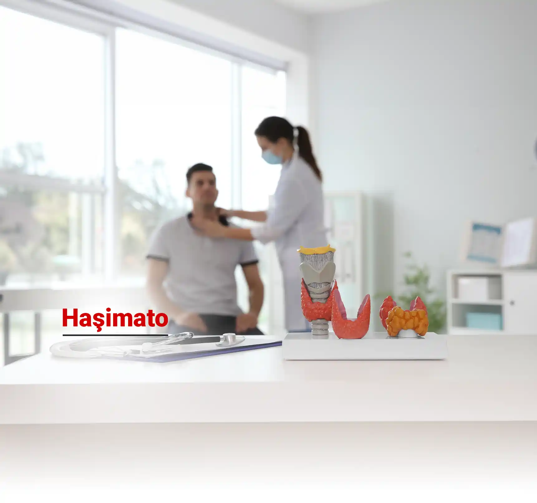 Haşimato Hastalığı Nedir? Tanısı Nasıl Konulur? Tedavisi Nasıldır?