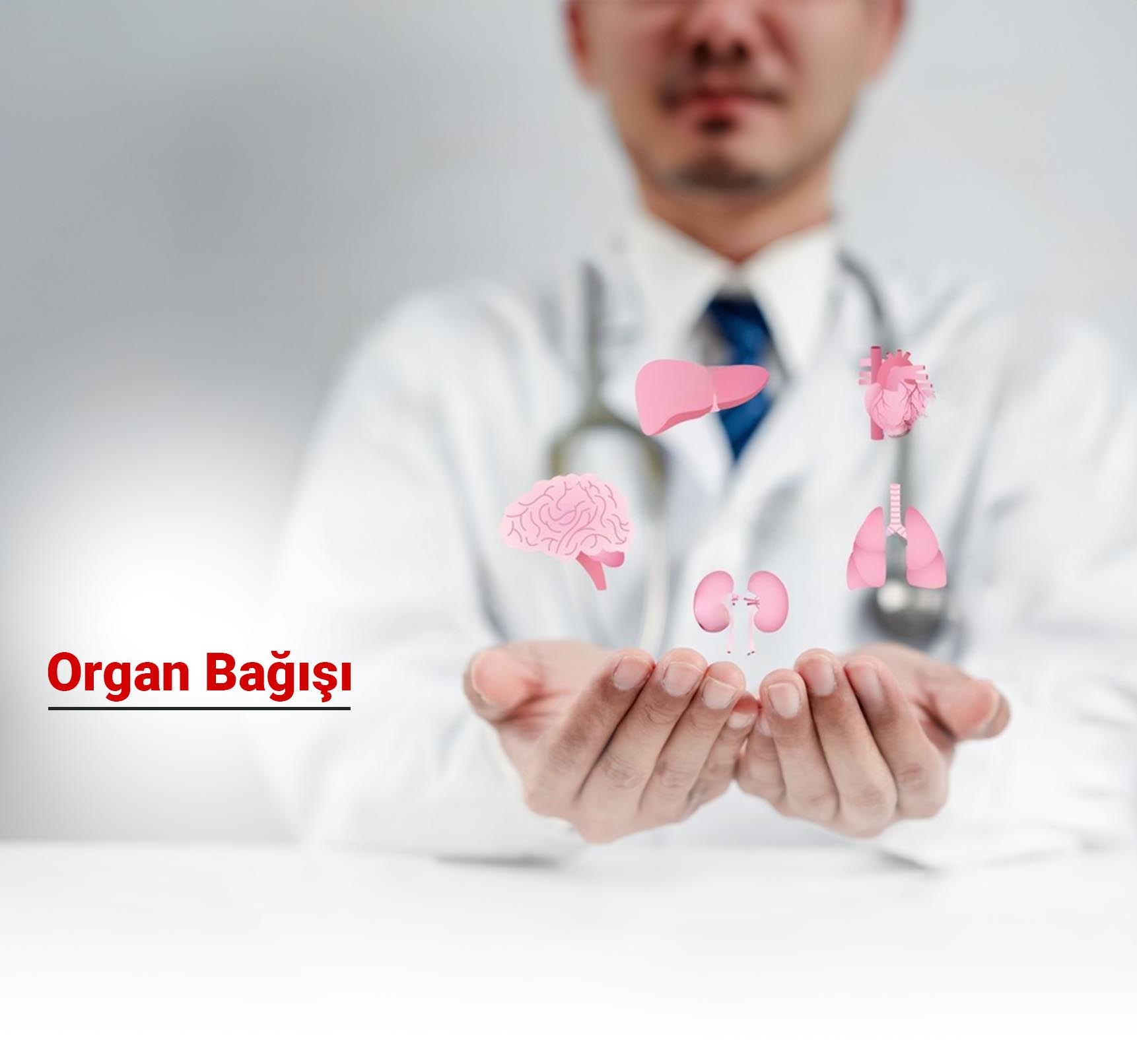 Organ Bağışı Nedir? Hangi Organlar Bağışlanabilir? Süreci Nasıldır?